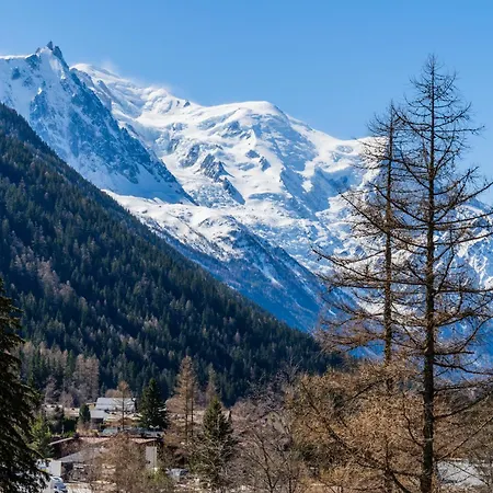 Apartment Ancolies - Happy Chamonix