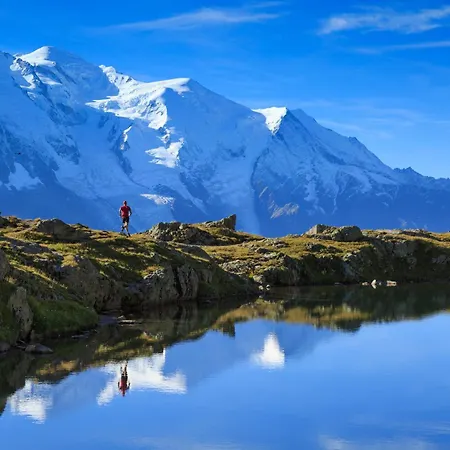 Grand Roc - Ancolies * Chamonix